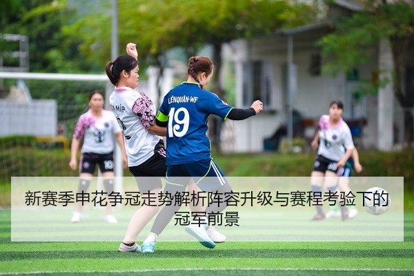新赛季申花争冠走势解析阵容升级与赛程考验下的冠军前景